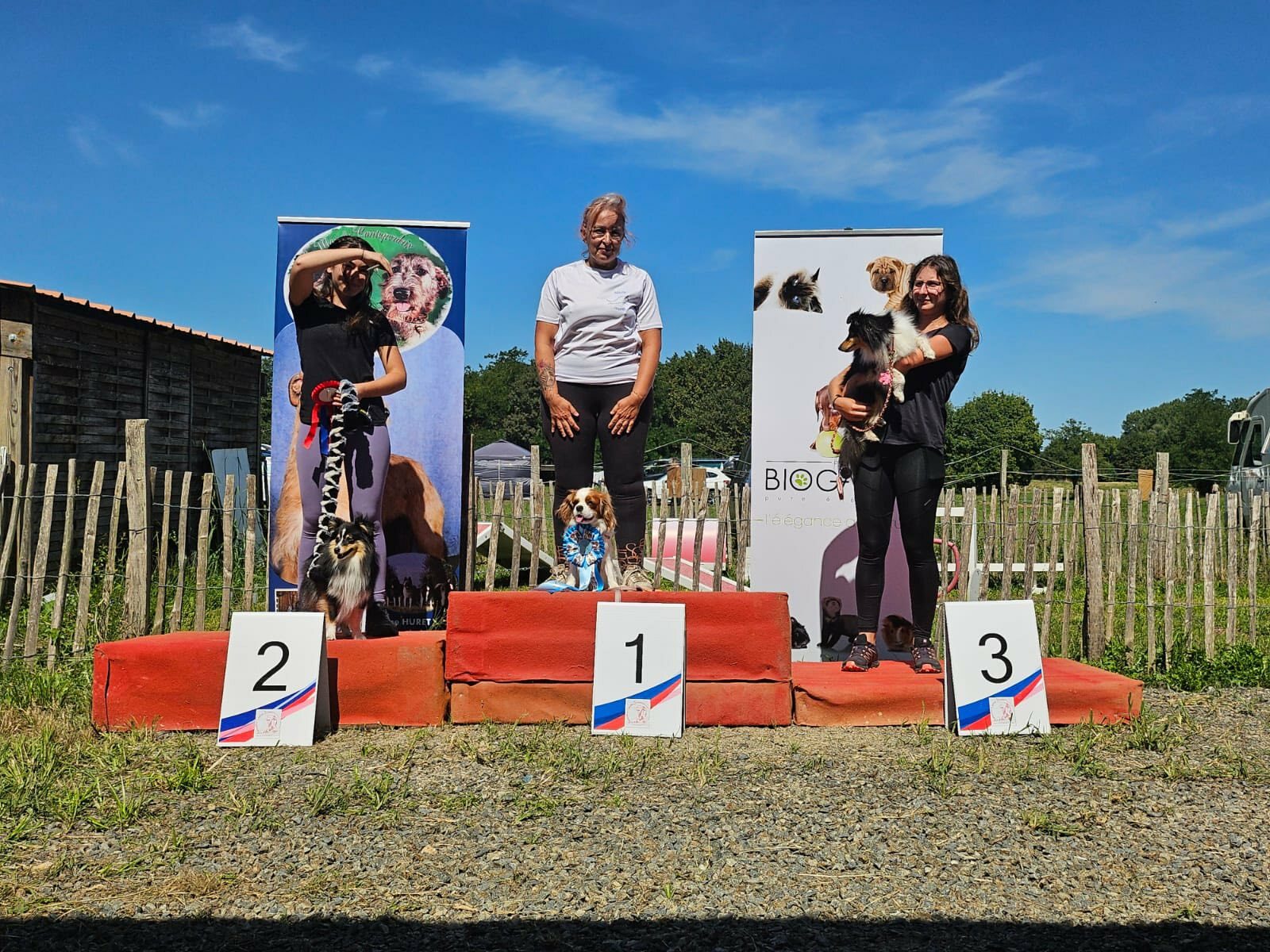 Concours d'agility des 06 et 07 septembre 2025