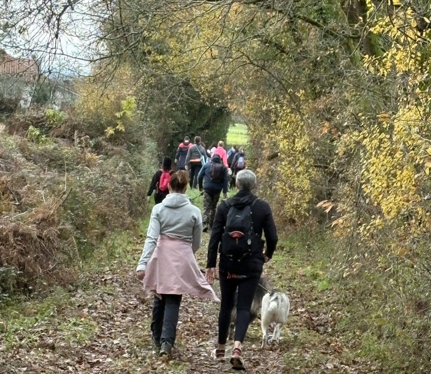 Canimarche du 07 décembre 2025