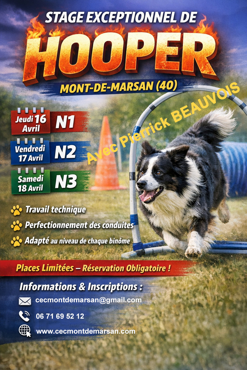 Stage de Hoopers avec Pierrick BEAUVOIS