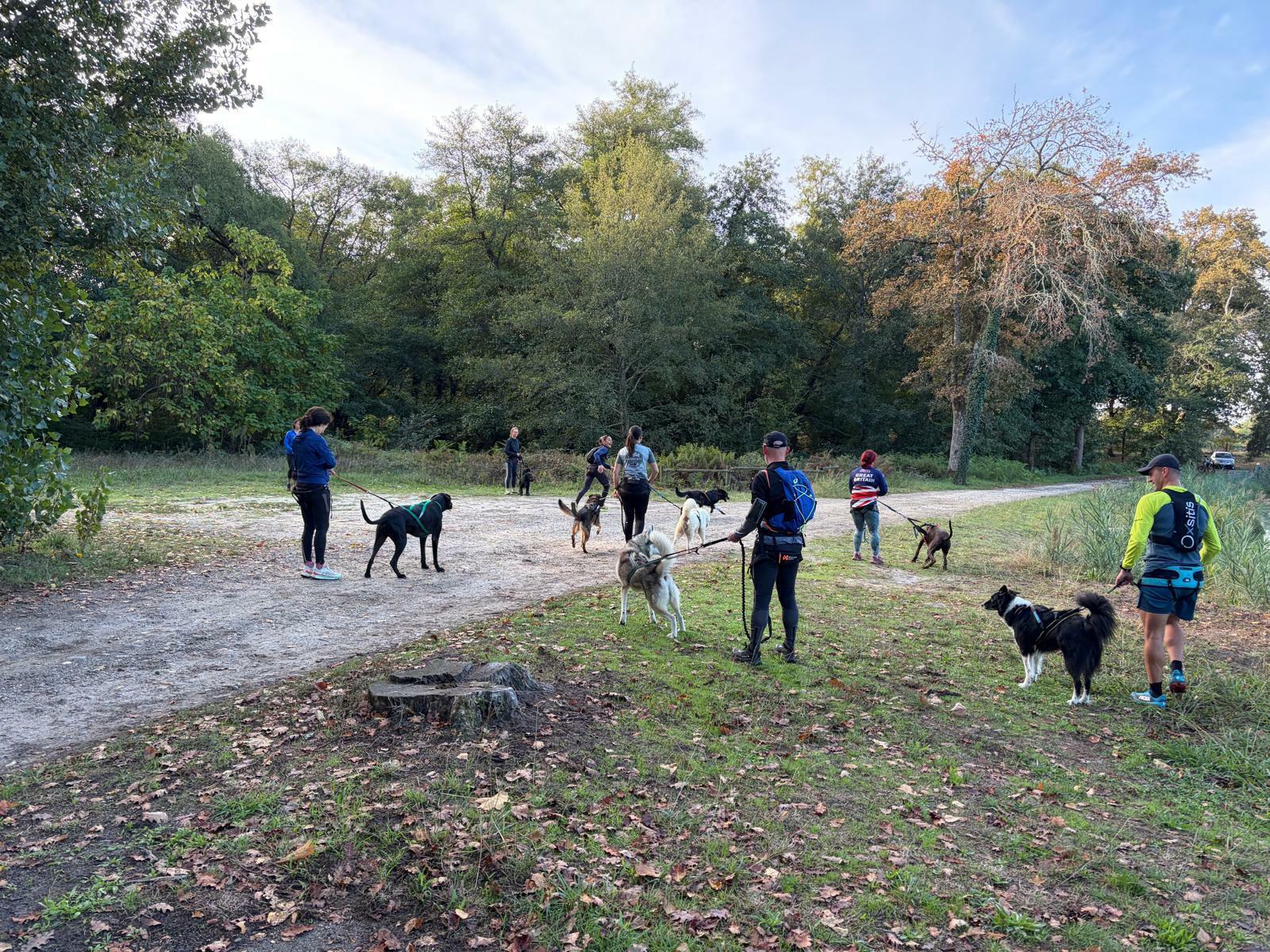Canicross/marche/trot du 18 octobre 2026