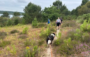 Retour sur la Canimarche de juin 2025