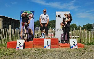Concours d'agility des 06 et 07 septembre 2025