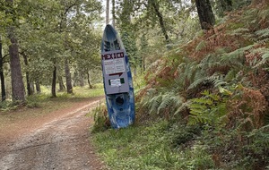 Sortie Canimarche / Cani canoë du 07 septembre 2025