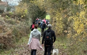 Canimarche du 07 décembre 2025