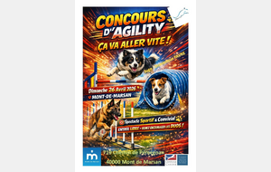 Concours d'Agility