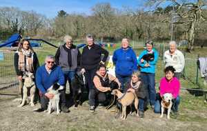 STAGE CHIENS VISITEURS