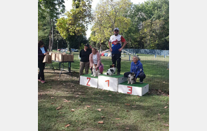 Qualification au GPF en Agility
