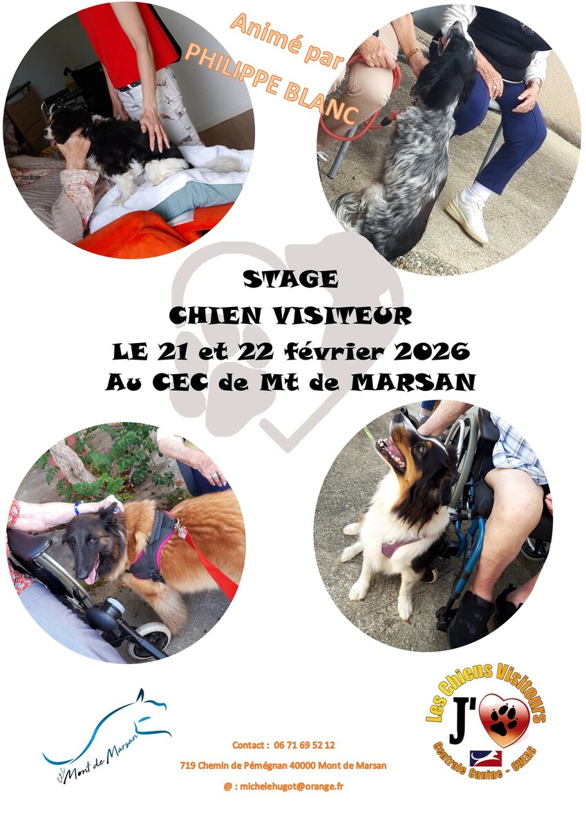 Stage chiens visiteurs
