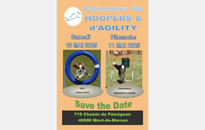 Concours d'AGILITY ET DE  HOOPER 