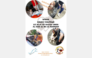 Stage chiens visiteurs