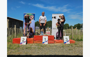 Concours d'agility des 06 et 07 septembre 2025