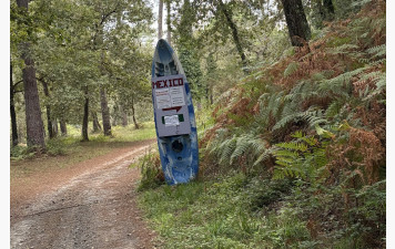 Sortie Canimarche / Cani canoë du 07 septembre 2025
