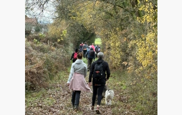 Canimarche du 07 décembre 2025