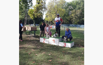 Qualification au GPF en Agility