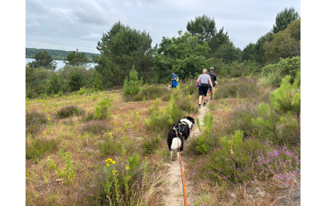 Retour sur la Canimarche de juin 2025