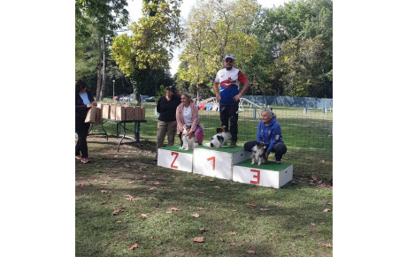 Qualification au GPF en Agility