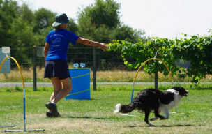 Concours de HOOPERS en Touraine – 9 et 10 août 2025