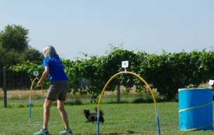 Concours de HOOPERS en Touraine – 9 et 10 août 2025